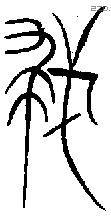 救 Oracle characters