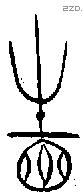 省 Oracle characters