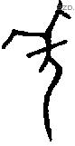 羌 Oracle characters