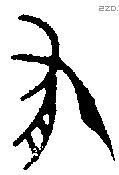 有 Oracle characters