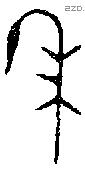 年 Bronze characters