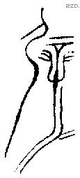 屖 Bronze characters