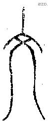 文 Oracle characters