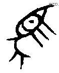 馬 Bronze characters