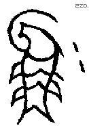 魚 Bronze characters