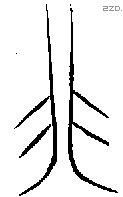 非 Bronze characters