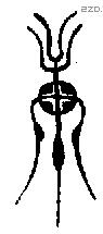 庚 Oracle characters