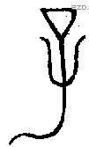 子 Bronze characters