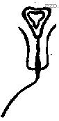 子 Bronze characters