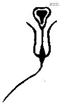 子 Bronze characters