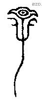 子 Bronze characters