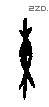 东 Oracle characters