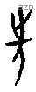 先 Oracle characters