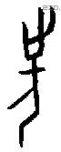 先 Oracle characters