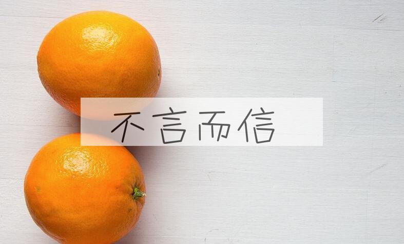 成语不言而信是什么意思？