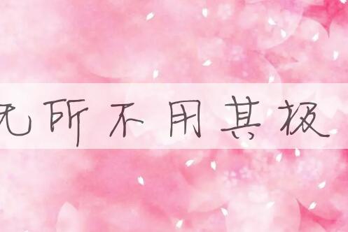 成语无所不用其极是什么意思？