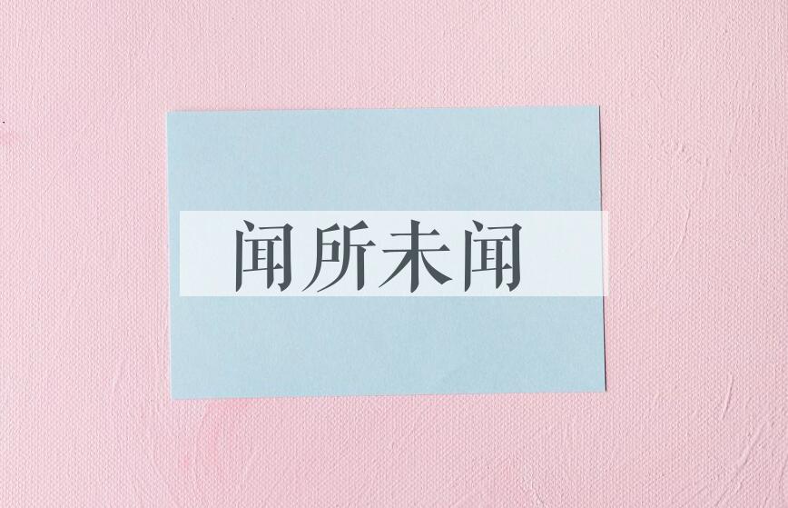 成语闻所未闻是什么意思？