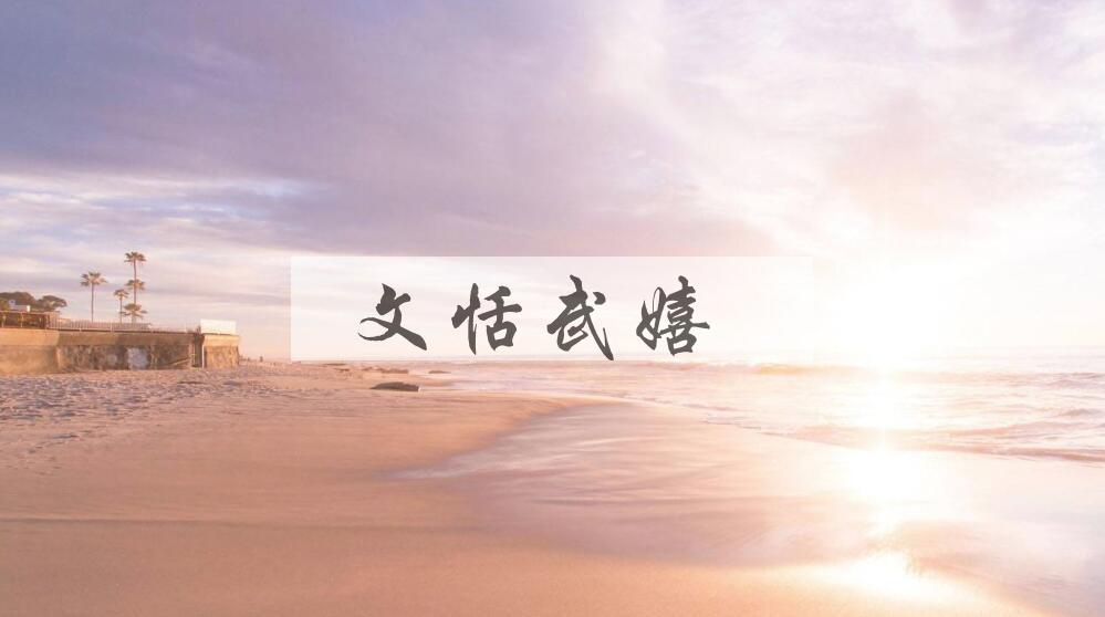 成语文恬武嬉是什么意思？