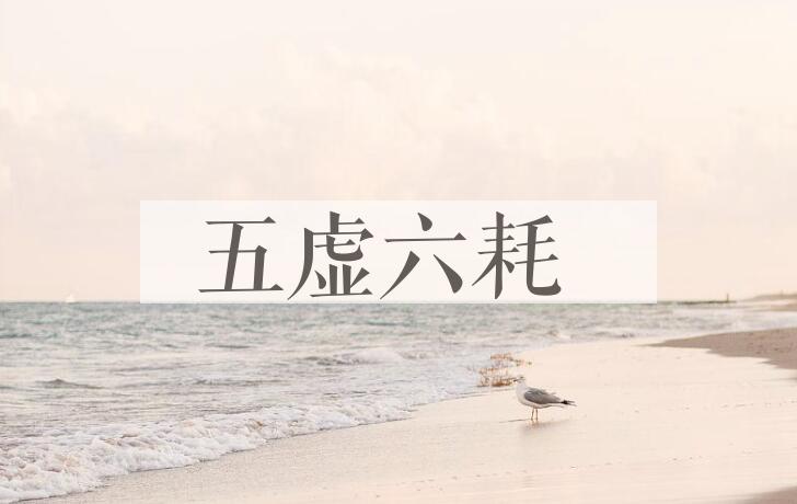 成语五虚六耗是什么意思？