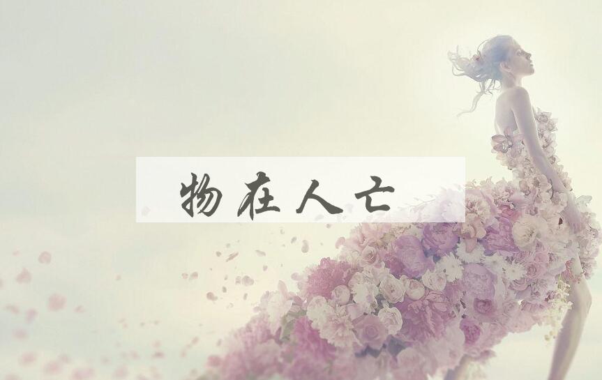 成语物在人亡是什么意思？