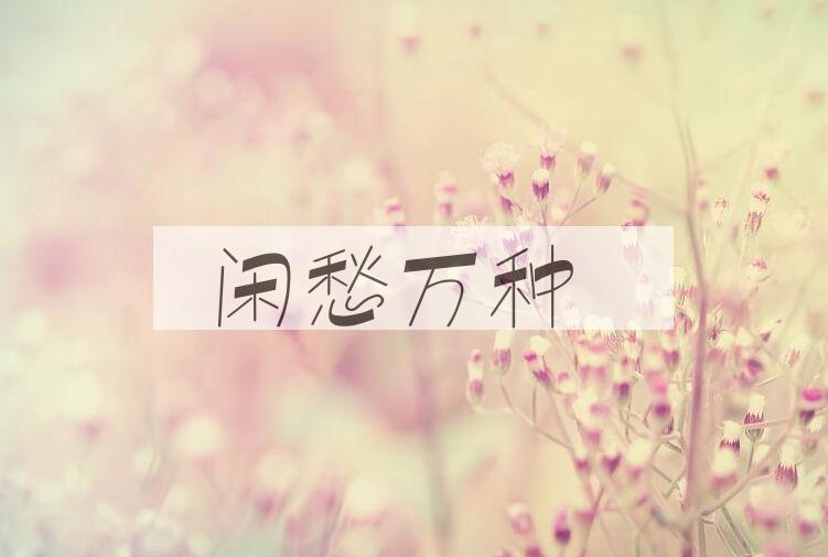 成语闲愁万种是什么意思？