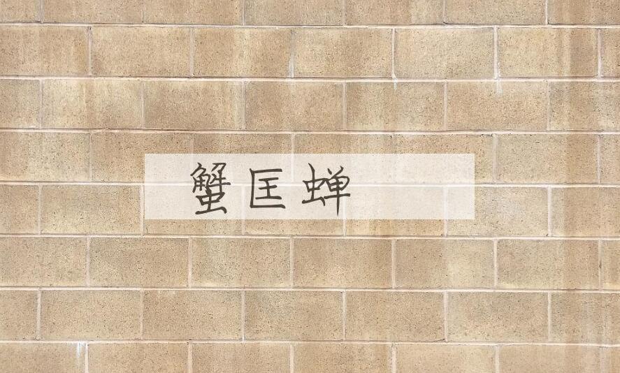 成语蟹匡蝉緌是什么意思？