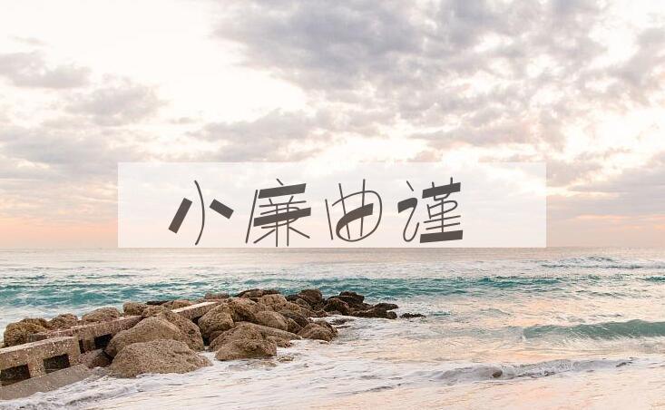 成语小廉曲谨是什么意思？