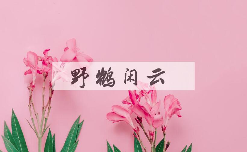 成语野鹤闲云是什么意思？