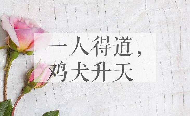 成语一人得道，鸡犬升天是什么意思？