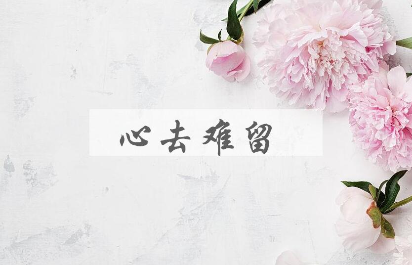 成语心去难留是什么意思？