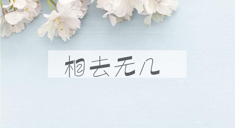 成语相去无几是什么意思？