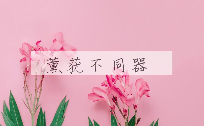 成语薰莸不同器是什么意思？