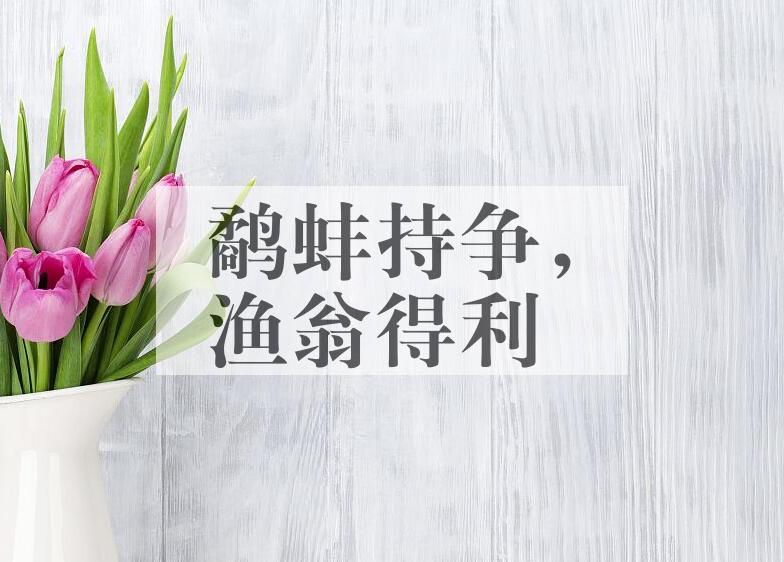 成语鹬蚌持争，渔翁得利是什么意思？