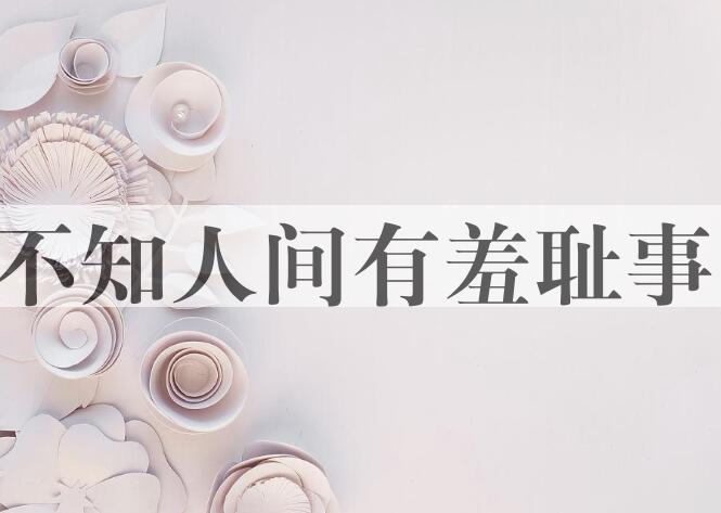 成语不知人间有羞耻事是什么意思？