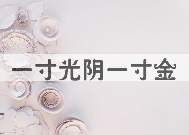 成语一寸光阴一寸金是什么意思？