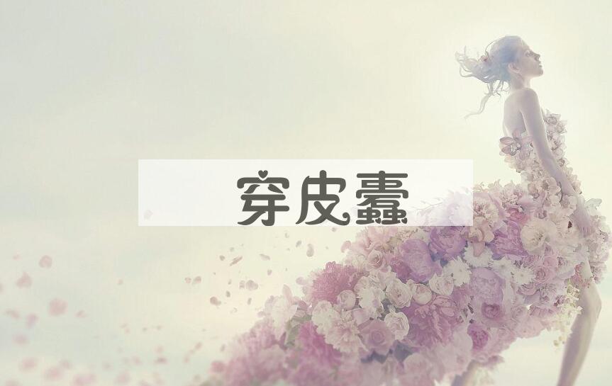成语杅穿皮蠹是什么意思？