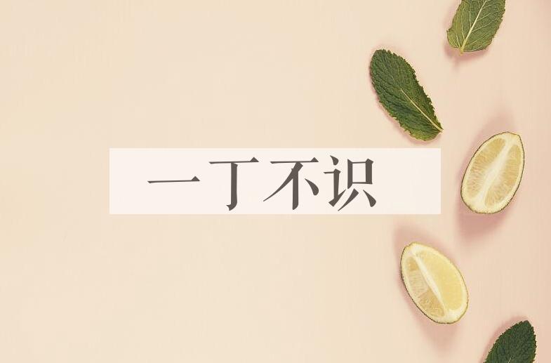 成语一丁不识是什么意思？