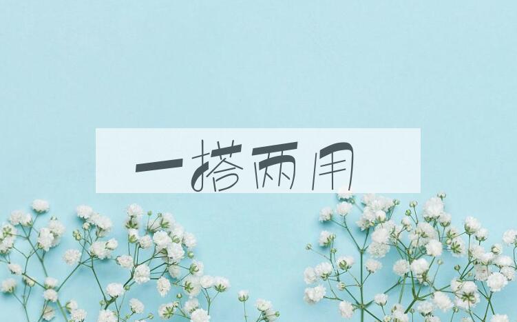 成语一搭两用是什么意思？