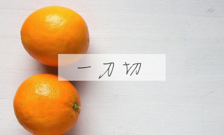 成语一刀切是什么意思？