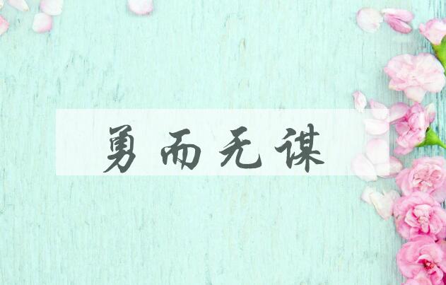 成语勇而无谋是什么意思？