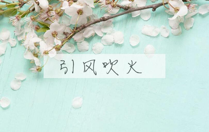 成语引风吹火是什么意思？