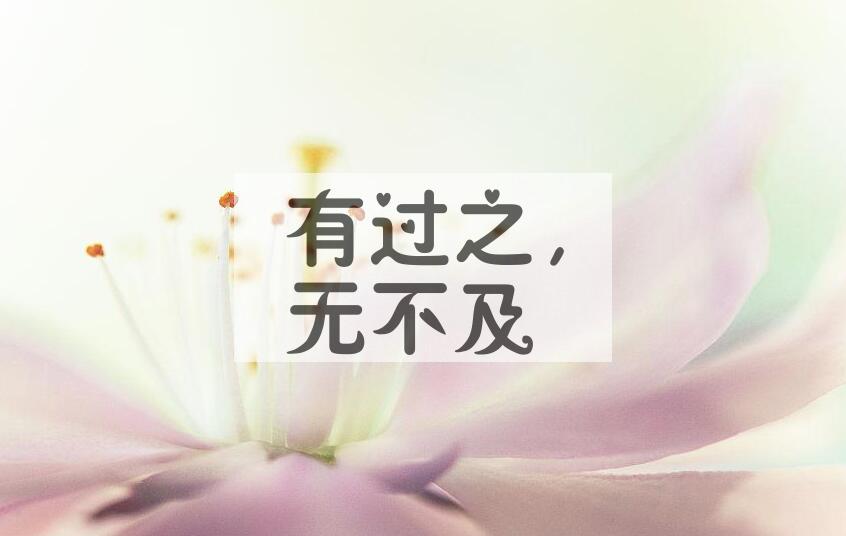 成语有过之，无不及是什么意思？