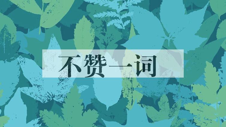 成语不赞一词是什么意思？