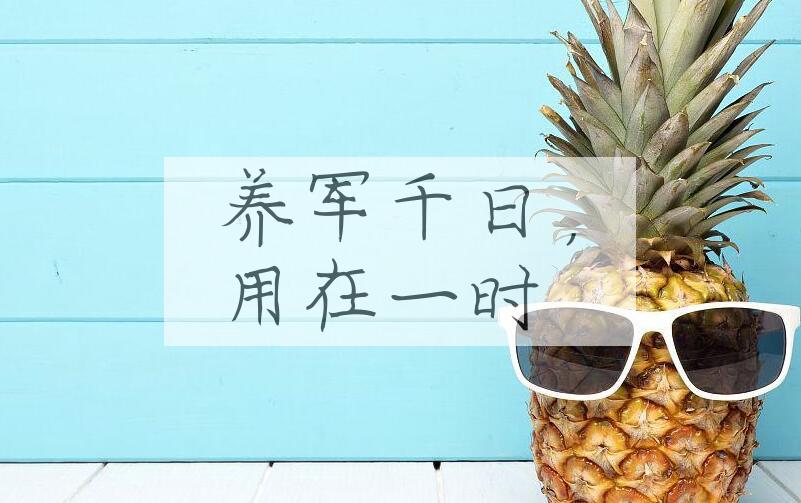 成语养军千日，用在一时是什么意思？