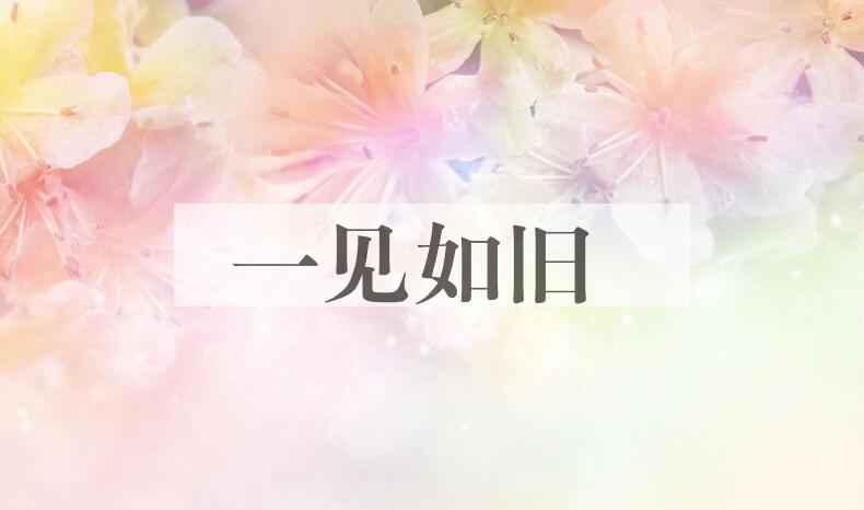 成语一见如旧是什么意思？