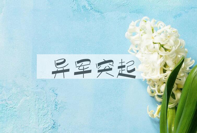 成语异军突起是什么意思？
