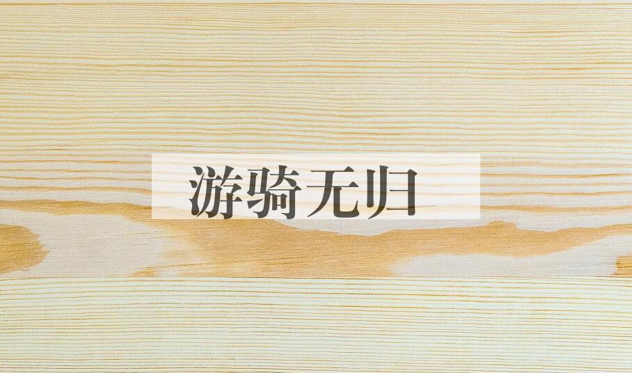 成语游骑无归是什么意思？