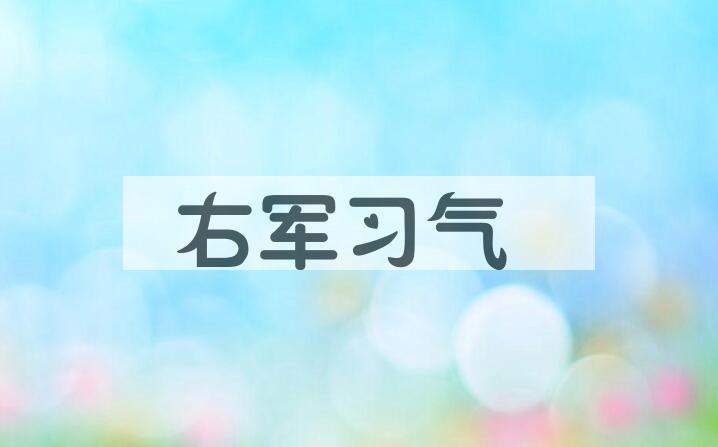成语右军习气是什么意思？