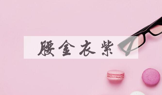 成语腰金衣紫是什么意思？