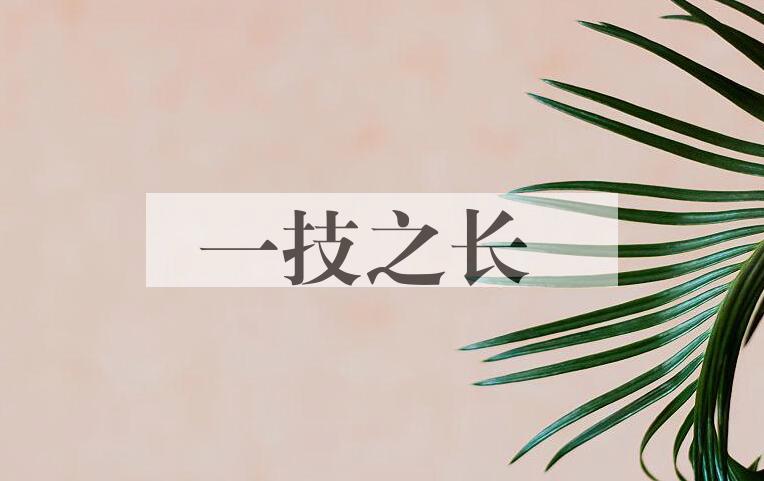 成语一技之长是什么意思？